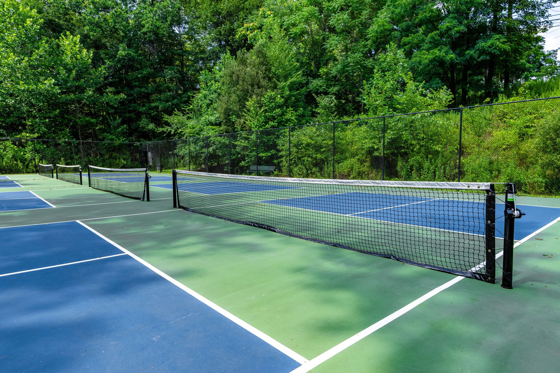 Example image of an empty pickleball court with multi-color surface and white lines.