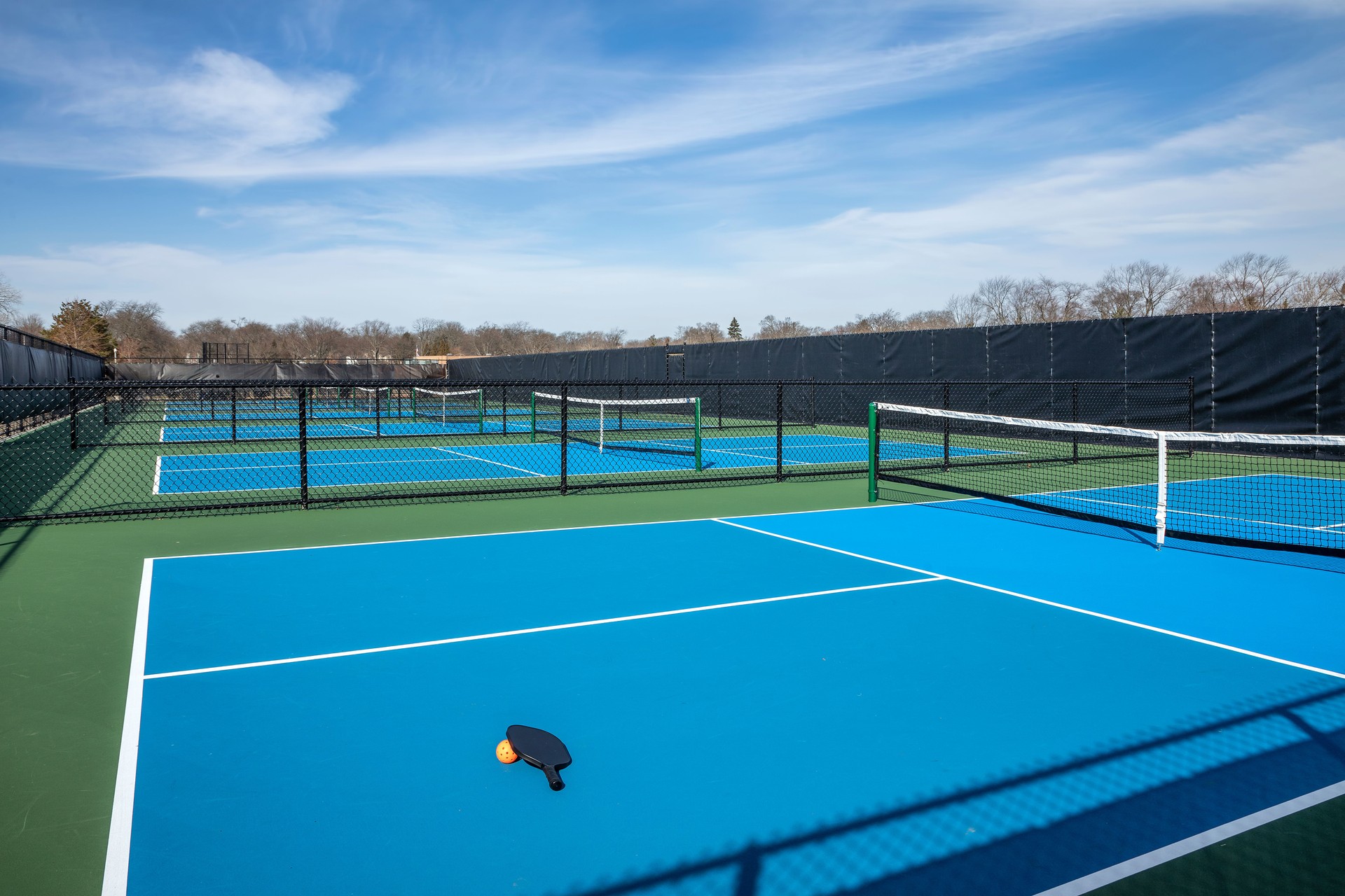 Pickleball Court with Paddle and Ball